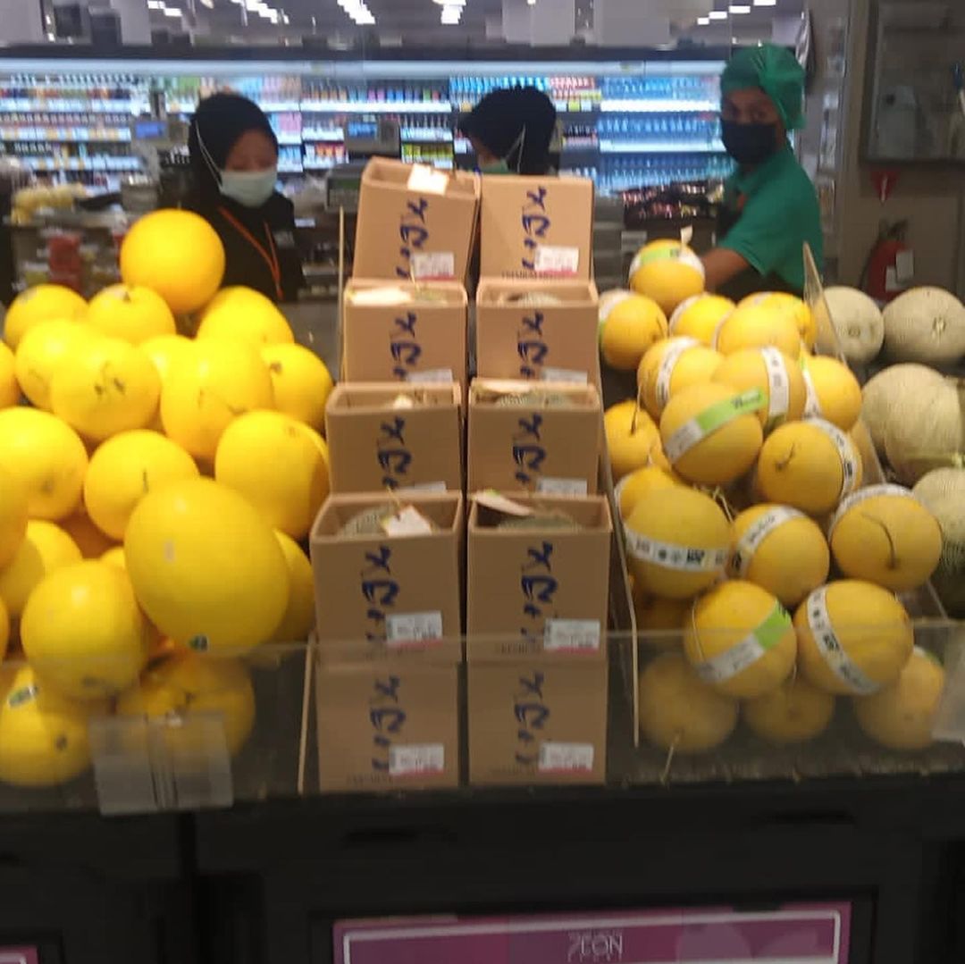 2795779276156166884_11305276015